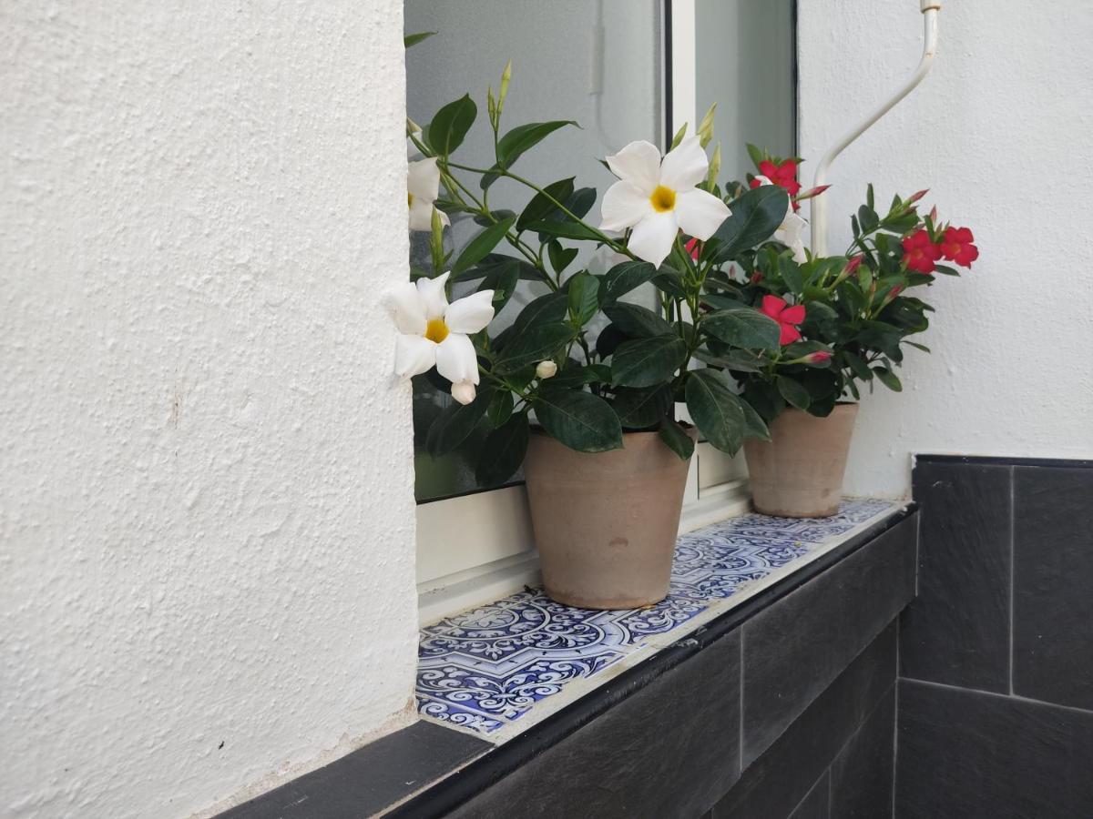 Apartamento 700 Metros De La Playa Playa Flamenca Luaran gambar